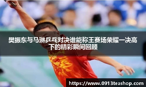 樊振东与马琳乒乓对决谁能称王赛场荣耀一决高下的精彩瞬间回顾